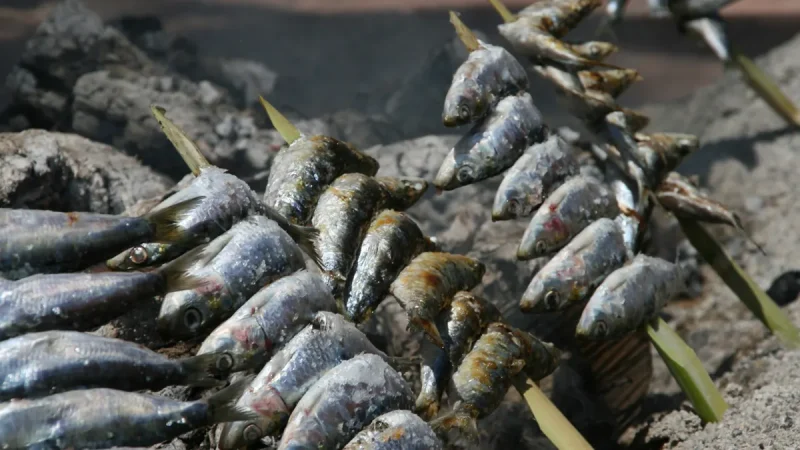 Espetos Sardinas, Almuñécar 2024