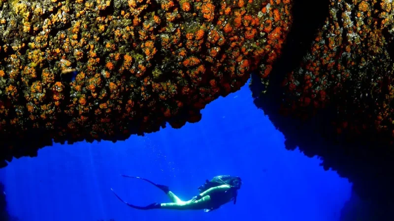 Fondo Marino La Herradura, 2024
