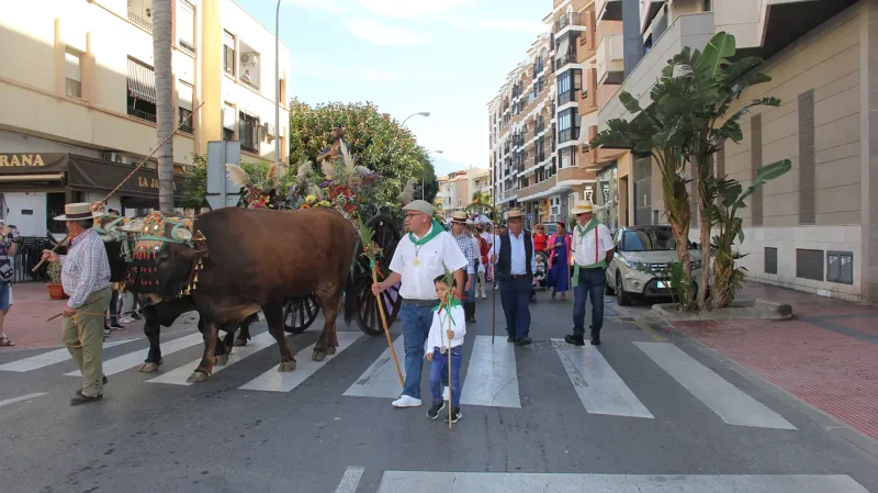 Romería San Isidro, 2024